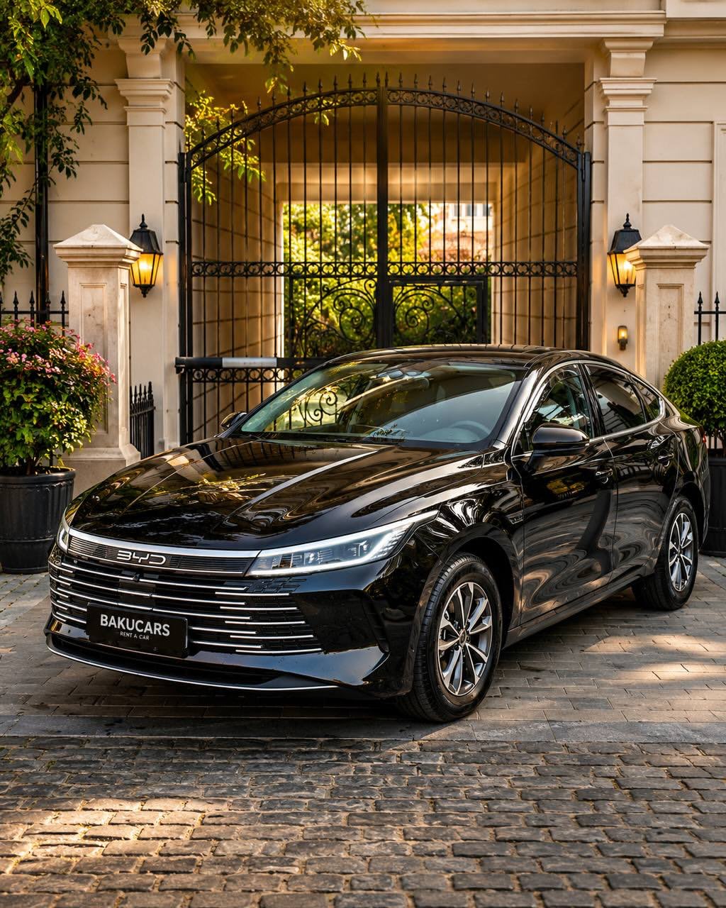 Rental BYD in Baku
